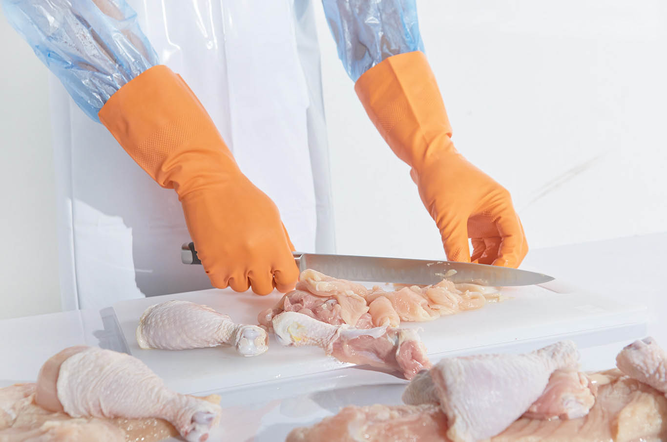 nitrile gloves, rubber gloves, food processing gloves, chlorination gloves, protection gloves, grip gloves, poultry processing gloves, chicken processing gloves, meat processing gloves, industrial gloves, orange gloves, natural gloves, blue gloves, meat processing gloves, general application gloves, Gastro gloves, latex-free gloves, ถุงมือไนไตร,ถุงมือยางไนไตร,ถุงมือยางพารา, ถุงมือแม่บ้าน, ถุงมืออุตสาหกรรม,ถุงมืออุตสาหกรรมอาหาร, ถุงมือทำความสะอาด, ถุงมือป้องกันสารเคมี, ถุงมืออันไลน์, ถุงมืออุตสาหกรรมไก่,ถุงมืออุตสาหกรรมปลา, ถุงมืออุตสาหกรรมเนื้อ, ถุงมืออุตสาหกรรมผัก, ถุงมือ latex free,ถุงมือม้วนขอบ, ถุงมือตัดขอบ