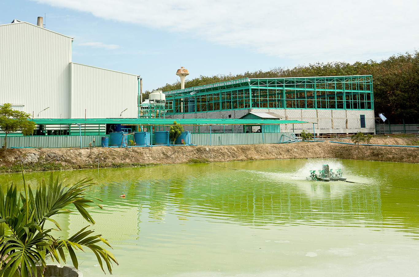 Sustainability, water treatment facilities, biomass boilers, palm kernels, water treatment plants, environment friendly, green, sustainable การพัฒนาอย่างยั่งยืน, บ่อน้ำเสีย, บ่อบำบัดน้ำเสีย,boiler ชีวมวล, ระบบบำบัดน้ำ, ระบบบำบัดน้ำอุตสาหกรรม