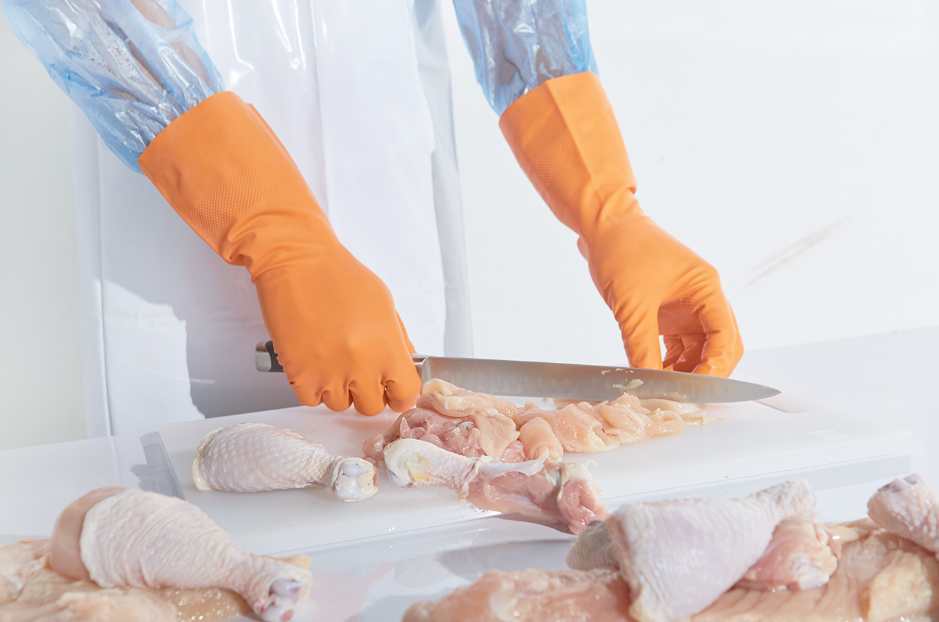 nitrile gloves, rubber gloves, food processing gloves, chlorination gloves, protection gloves, grip gloves, poultry processing gloves, chicken processing gloves, meat processing gloves, industrial gloves, orange gloves, natural gloves, blue gloves, meat processing gloves, general application gloves, Gastro gloves, latex-free gloves, ถุงมือไนไตร,ถุงมือยางไนไตร,ถุงมือยางพารา, ถุงมือแม่บ้าน, ถุงมืออุตสาหกรรม,ถุงมืออุตสาหกรรมอาหาร, ถุงมือทำความสะอาด, ถุงมือป้องกันสารเคมี, ถุงมืออันไลน์, ถุงมืออุตสาหกรรมไก่,ถุงมืออุตสาหกรรมปลา, ถุงมืออุตสาหกรรมเนื้อ, ถุงมืออุตสาหกรรมผัก, ถุงมือ latex free,ถุงมือม้วนขอบ, ถุงมือตัดขอบ